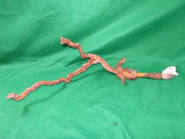 25 & 1/2" Shamon Dance Wand