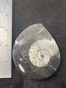 Fossil Indian Artifact Arrowhead