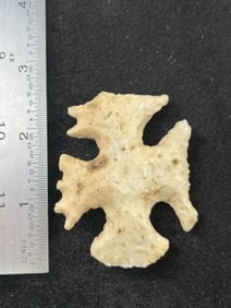 Eccentric Indian Artifact Arrowhead