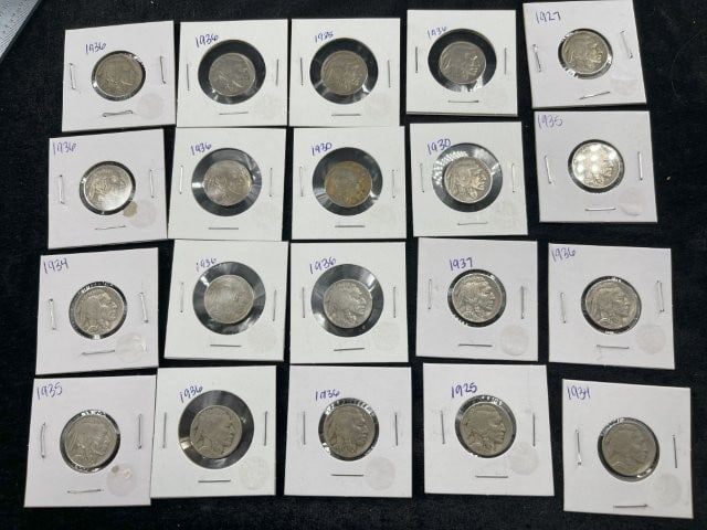 Group of Better Buffalo Nickels (1 of 1)