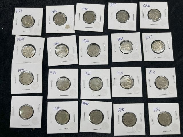 Group of Better Buffalo Nickels (1 of 1)