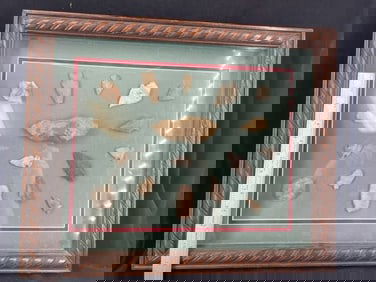 Frame of exceptional Arrowheads from the life-time collection of Michael Knabe frame IS included