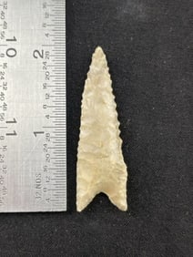 Dalton Indian Artifact Arrowhead