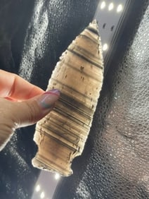 5 & 5/8" Obsidian Spear from Colorado Indian Artifact Arrowhead