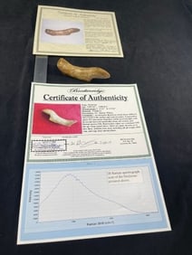 4 & 1/4" Birdstone with Byron Anderson & Bill Breckinridge COA ex - Stanley Wilson Collection Indian