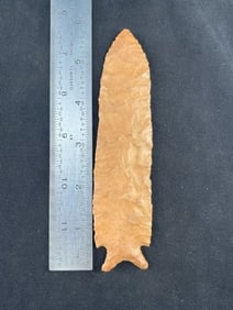 5 & 3/4" Greenbrier Dalton Indian Artifact Arrowhead