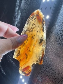 4 & 7/8" Adena gem quality material from Arizona Indian Artifact Arrowhead