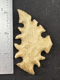 Tussinger Eccentric Indian Artifact Arrowhead