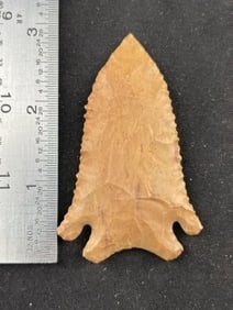 3" Pine Tree from Texas Indian Artifact Arrowhead