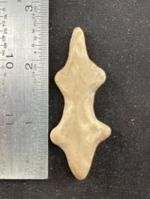 Lizzard Polished Effigy Indian Artifact Arrowhead