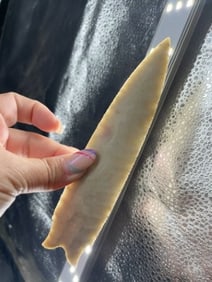 6 & 5/8" Novaculite Dalton from Arkansas Indian Artifact Arrowhead