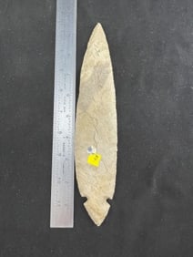 9 & 1/2" Turkeytail from Kentucky Indian Artifact Arrowhead