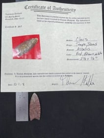 Clovis with Thomas Matthews COA from Temple Texas Indian Artifact Arrowhead