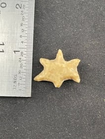 Effigy Indian Artifact Arrowhead