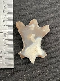 Lizard Effigy Indian Artifact Arrowhead