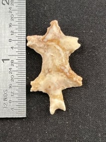 Lizard Effigy Indian Artifact Arrowhead