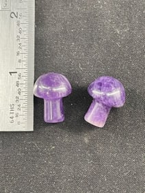 Pre-Columbian Ear Plugs