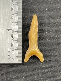 Arrow Point Indian Artifact Arrowhead
