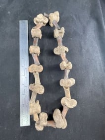 Bone Necklace