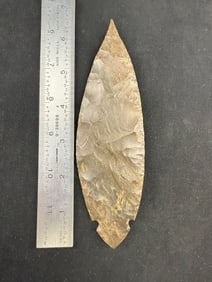 6 & 5/8" Turkeytail Indian Artifact Arrowhead