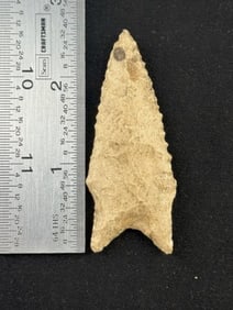 Dalton Indian Artifact Arrowhead