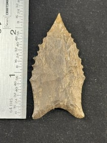 2 & 1/2" Dalton Indian Artifact Arrowhead