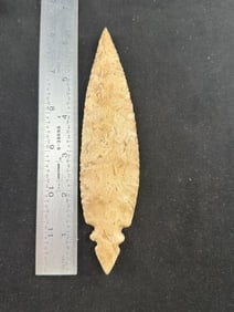6 & 1/4" Double Notch Turkeytail Indian Artifact Arrowhead