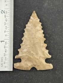 2" Pine Tree Indian Artifact Arrowhead