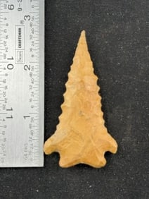 2 & 5/8" Pine Tree Indian Artifact Arrowhead