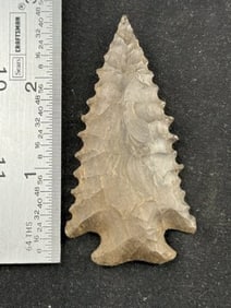 2 & 3/4" Pine Tree Indian Artifact Arrowhead