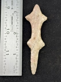 3 & 1/4" Polished Lizard Effigy Indian Artifact Arrowhead