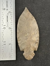 Turkeytail Indian Artifact Arrowhead
