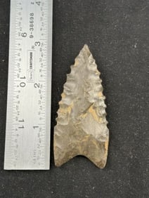 Dalton Indian Artifact Arrowhead