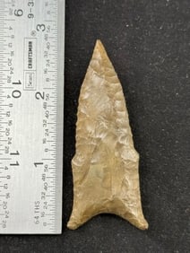 Dalton Indian Artifact Arrowhead