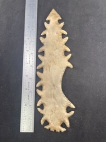 Tussinger Eccentric Indian Artifact Arrowhead