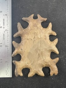 Tussinger Eccentric Indian Artifact Arrowhead