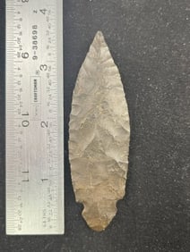 3 & 1/2" Turkeytail Indian Artifact Arrowhead