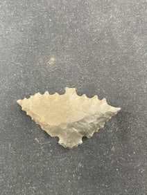 Bird Effigy Indian Artifact Arrowhead