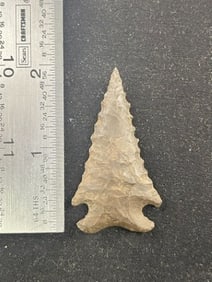 Pine Tree Indian Artifact Arrowhead