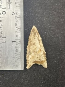 Dalton Indian Artifact Arrowhead