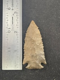 Pine Tree Indian Artifact Arrowhead