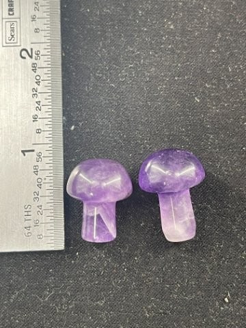 Stone Ear Plugs (1 of 2)
