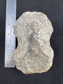 Chipped Tomohawk from Arkansas