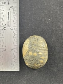 Engraved Cone Indian Artifact Arrowhead