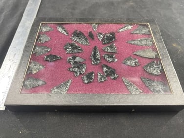 Obsidian Arrow Points Riker Frame included