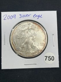 2009 Silver Eagle Coin