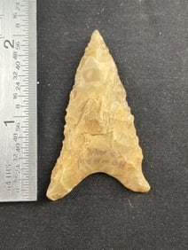 Dalton Indian Artifact Arrowhead