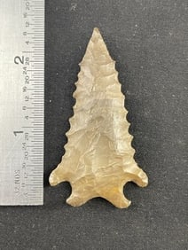 2 & 1/4" Pine Tree Indian Artifact Arrowhead
