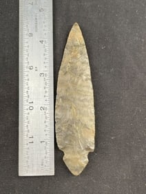 Turkeytail Indian Artifact Arrowhead