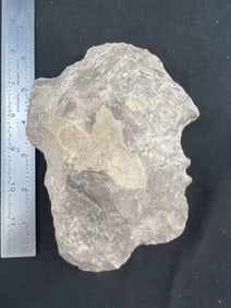 Chipped Face Effigy Indian Artifact Arrowhead